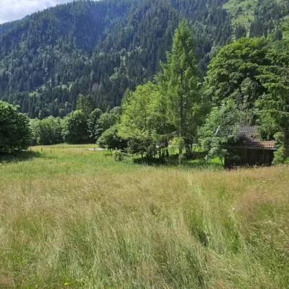 Traumhaftes Baugrundstück in idyllischer Lage nahe Flattach, Kärnten - nur 199.000,00 €! - Bild 3