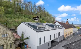 Profitables Investment: Ertragsobjekt - 3 vermietete Wohnungen mit Garten und 6 Garagen in Thalheim bei Wels um Netto 1.060.000!                  346 m² Nutzfläche