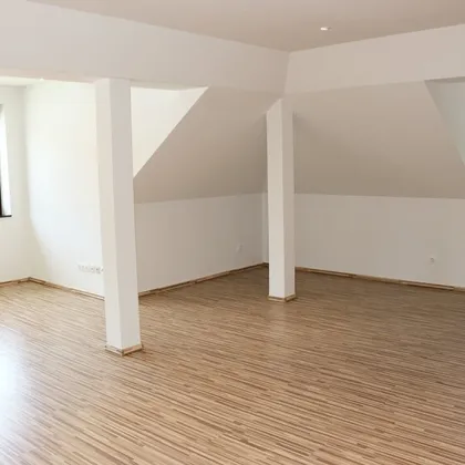 *** LOFTARTIGES DACHGESCHOSS *** UNBEFRISTET *** GROSSE GARTENANLAGE *** WOHNUNG oder BÜRO/ORDI/KANZLEI ***VR - RUNDGANG *** - Bild 3