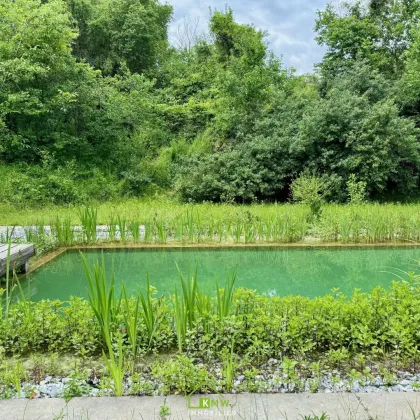 ABSOLUTE RUHELAGE: Freizeitparadies in der Wachau - Bild 2