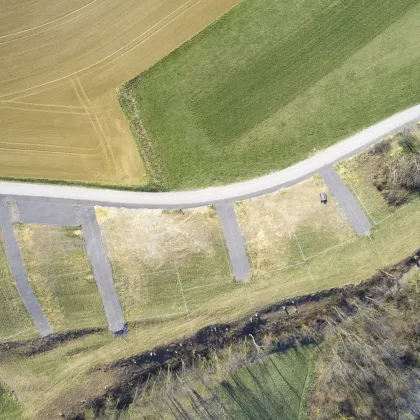 Platz für 2 Kleingartenhäuser  ++++++   UNVERBAUBARER FERNBLICK & RUHELAGE +++++++   Wunderschöne DOPPELPARZELLE in Waldrandlage   +++++ - Bild 3