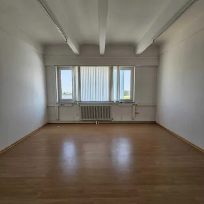 Modernes Büro / Praxis in Vösendorf - ca. 35.6m² Fläche für effizientes Arbeiten (Büro, Firmenadresse, Lager) - Bild 2