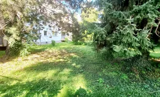 Kompakte Wohlfühloase in 1130 Wien - 1 Zimmer, 37m² auf der 2. Etage, ab sofort mieten!