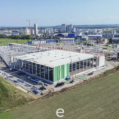 NEUBAU - Produktions / Lagerhalle mit Büroflächen in Enns/Ennshafen zu vermieten, Objekt 6 – individuell und zukunftsorientiert - Bild 3