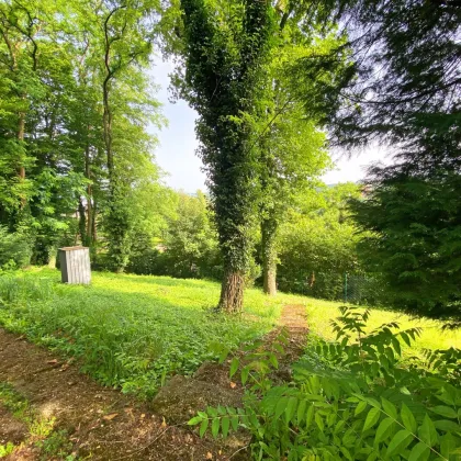 Baugrundstück mit herrlicher Aussicht in Hanglage - Bild 3