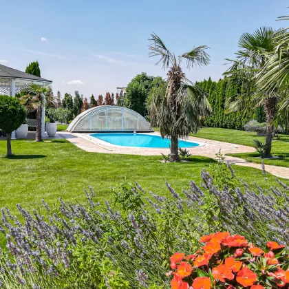 WOHNTRAUM | EINFAMILIENHAUS MIT GROßEM GARTEN, POOL & FERNBLICK IN STRASSHOF - Bild 2