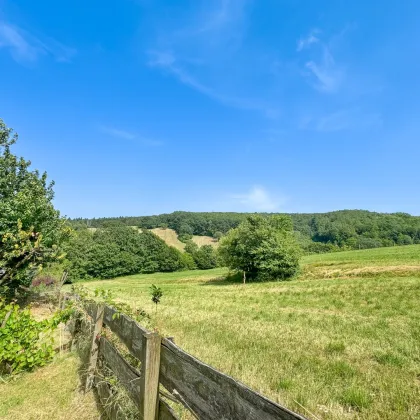 Einfamilienhaus in idyllischer Lage am Rande des Wienerwald - Bild 2