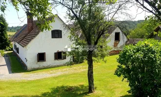 Bauernhaus, 123 Jahre alt, mit ca. 6000m² arrondierendem Grund, davon ca. 3700m² Bauland.