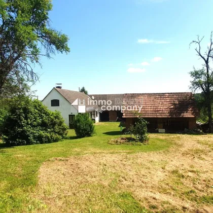 Bauernhaus, 123 Jahre alt, mit ca. 6000m² arrondierendem Grund, davon ca. 3700m² Bauland. - Bild 3