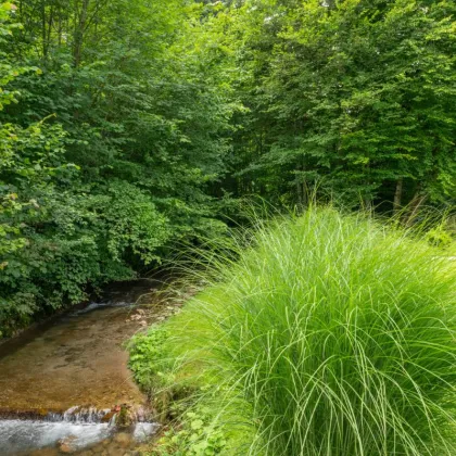 Ultimativer Wohntraum in idyllischer Ruhelage, mit Eigengarten - Bild 3