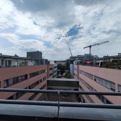 Helle, ruhige Wohnung mit großer Terrasse, 6 Min zur U-Bahn & S-Bahn, 5 Min zum Q19 - Bild 2