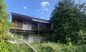 JETZT ANFRAGEN - EIGENER SEEZUGANG - Traumhaftes Ferienhaus am Neufeldersee IV