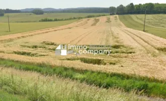 Naturnah und ertragreich: Landwirtschaftliche Fläche in Kaisersdorf, Burgenland für nur 220.000,00 €!