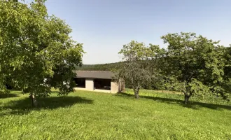 ALLEINLAGE: Landwirtschaft - Scheibengrund - ca. 55000 m2 - Wiese - Acker - Wald - Haus zum Sanieren - mehrere Nebengebäude - Stallung event. für Pferdehaltung