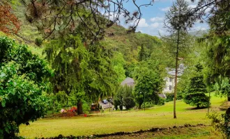 baugenehmigtes Wohnbauprojekt für Familienhäuser in außergewöhnlicher Villen-Waldrandlage! Rundum - Natur pur!