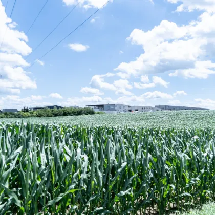 Perfekte Betriebsbaulage in Wolfern - Bild 2