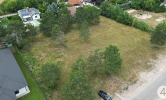 Bauträger aufgepasst! 4 Baugrundstücke nebeneinander 3644m²