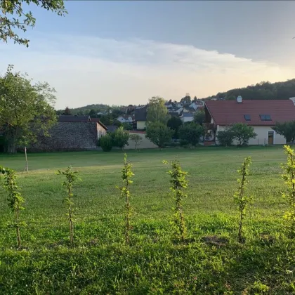 Baugrundstück Leobendorf Zentrum unter der Burg Kreuzenstein - Bild 2