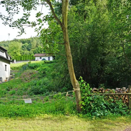 Grundstück in Grünlage im Pressbaumer Zentrum - Bild 2