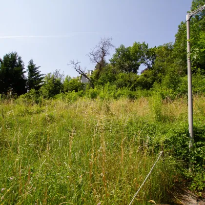 Bleibender Wert - Baugrund direkt am Waldrand in Mödling mit unverbaubarem Fernblick - Bild 2