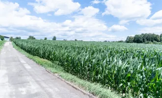 Perfektes Gewerbegrundstück mit Grünblick in Wolfern