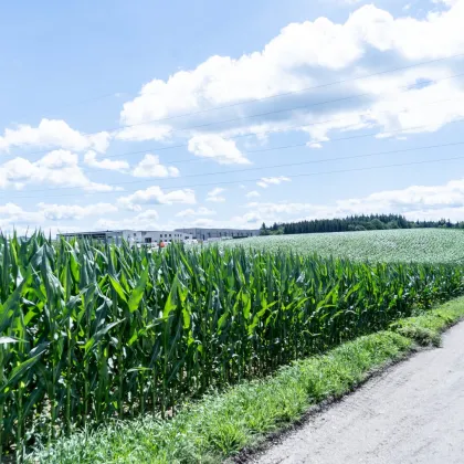 Perfekte Investition: Großzügiges Betriebsbaugrundstück mit Grünblick in Wolfern - Bild 2