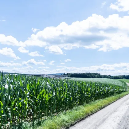 Gewerbegrundstück in Wolfern - perfekt für Ihren Betriebsstandort - Bild 2