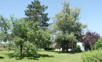 Absolute Grünruhelage in Wiesfleck - Einfamilienhaus mit großem Garten