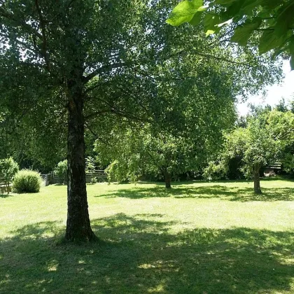 Absolute Grünruhelage in Wiesfleck - Einfamilienhaus mit großem Garten - Bild 2