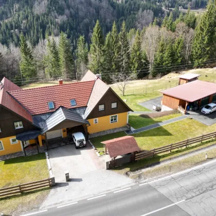 Doppeltes Glück im DREILÄNDERECK Steiermark-Kärnten-Slowenien auf 11.321 m² Grund  in Seenähe - Bild 3