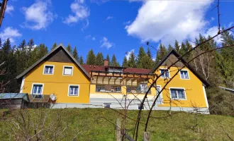 Doppeltes Glück im DREILÄNDERECK Steiermark-Kärnten-Slowenien auf 11.321 m² Grund  in Seenähe