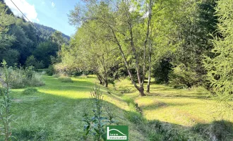 Wunderschönes Grundstück mit Altbestand (Abriss oder Sanierung) beim Wald in absoluter Ruhe- & Naturlage. Teilbar bzw. jeweils 20-30% bebaubar.