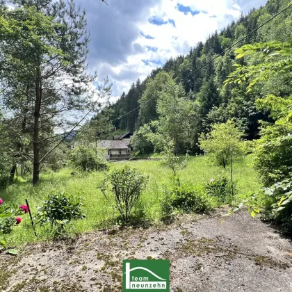 (VIDEOS & DROHNE) Wunderschönes Grundstück mit Altbestand (Abriss oder Sanierung) beim Wald in absoluter Ruhe- & Naturlage. Teilbar bzw. jeweils 20-30% bebaubar. - Bild 3