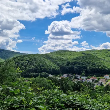 Bauträgergrundstück in Purkersdorf mit Fernblick in ruhiger begehrter Lage! - Bild 3