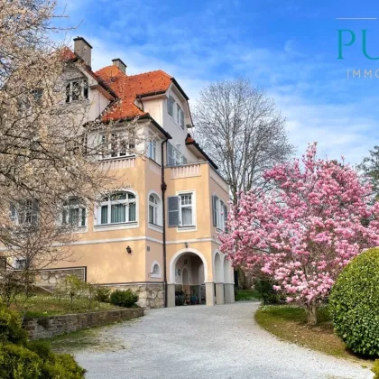 HISTORISCHE VILLA MIT EINZIGARTIGEM CHARME und Schlossbergblick in ruhiger Lage - mit zusätzlichem Baugrundstück! - Bild 2