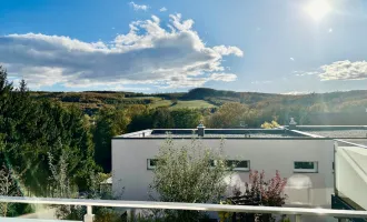 Familienfreundliche südseitige Doppelhaushälfte mit Panoramablick am Riederberg