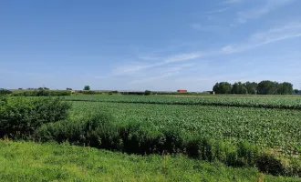 Gewerbe-Grundstück direkt beim Autobahn-Anschluss. - Flexible Größen  bis 60.400 m² - Großes Potential.