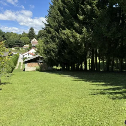 Gepflegtes, saniertes Einfamilienhaus in schöner Ruhelage - Bild 2