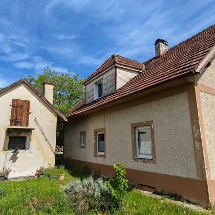 Haus auf großem Grundstück Hörsching - Bild 2