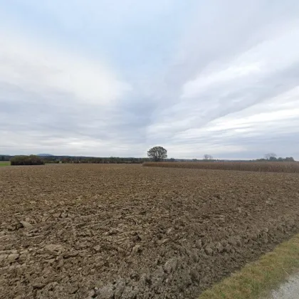 Ackerland mit 5,2 ha  - Weststeiermark - Bezirk Voitsberg - Bild 2