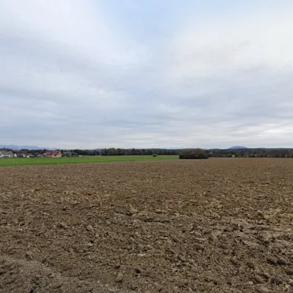 Ackerland mit 5,2 ha  - Weststeiermark - Bezirk Voitsberg - Bild 3