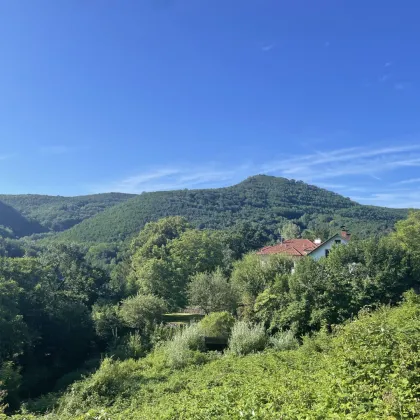 Traumhaftes Grundstück mit unverbaubarer Aussicht und exklusiver Einreichplanung - Bild 2