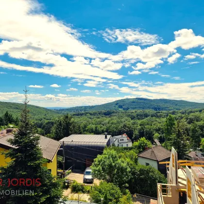 Einfamilienhaus-Niedrigenergiehaus mit Dachterrassenblick auf den Wienerwald, in Fertigstellung - Bild 2