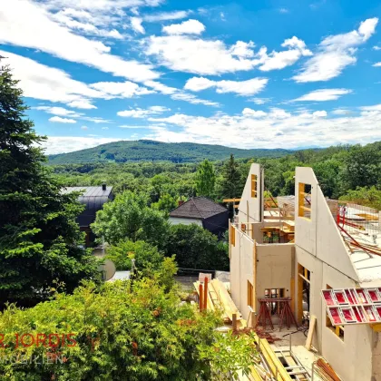 Einfamilienhaus-Niedrigenergiehaus mit Dachterrassenblick auf den Wienerwald, in Fertigstellung - Bild 3