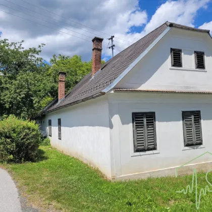 Burgenländischer Streckhof mit viel Potential - 1679 m² Grundstück BW in Kemeten! - Bild 2