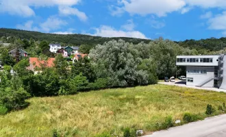 Betriebsbaugrund im Ortszentrum Pressbaum/Tullnerbach