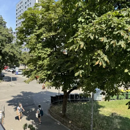 Sanierungsbedürftige, charmante 4-Zimmer-Wohnung mit großem Potenzial zur individuellen Gestaltung in repräsentativem Altbau! - Bild 2