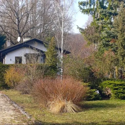 Charmantes Landhaus mit großem Grundstück - Bild 2