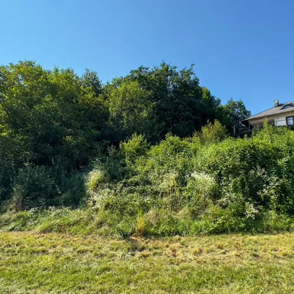 Sonniges Baugrundstück mit atemberaubenden Ausblick in Schiefling – Ihr Naturparadies in Kärnten! - Bild 2