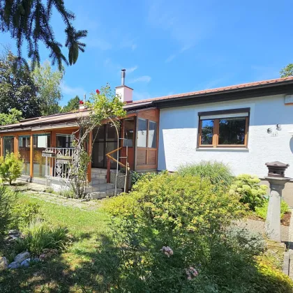 Bungalow mit 1.200m² Grundstück in Wiener Neustadt - Bild 2